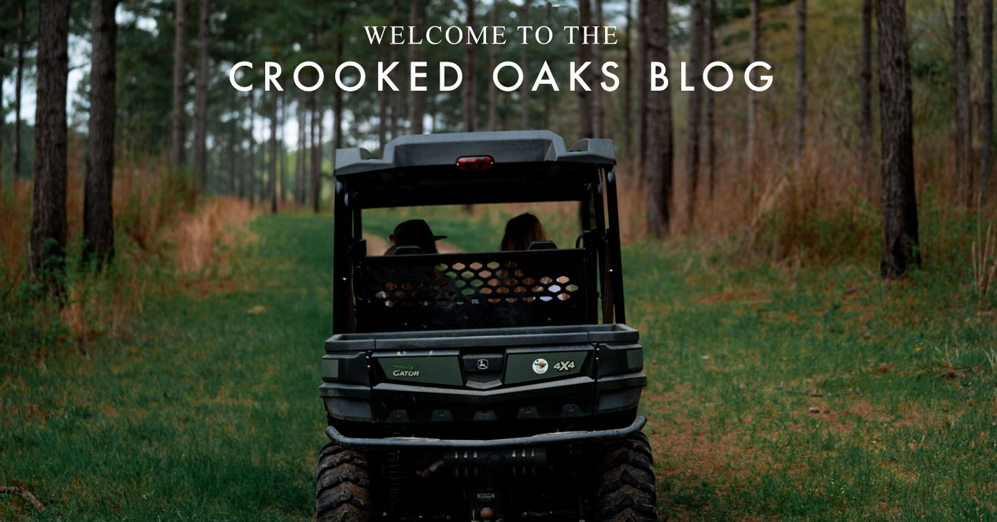 Read more about the article Welcome to the Crooked Oaks Blog