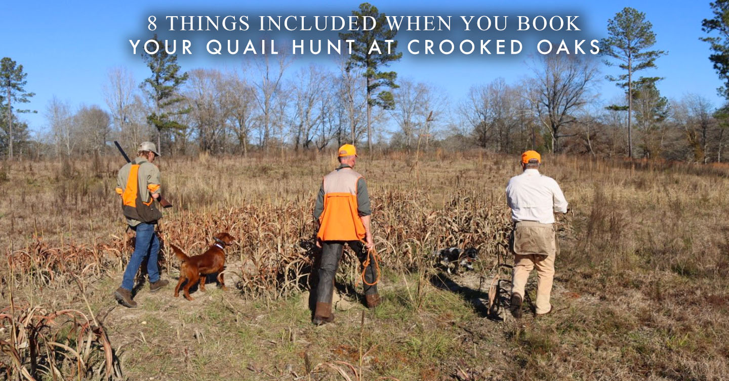 Read more about the article 8 Things Included When You Book Your Quail Hunt at Crooked Oaks