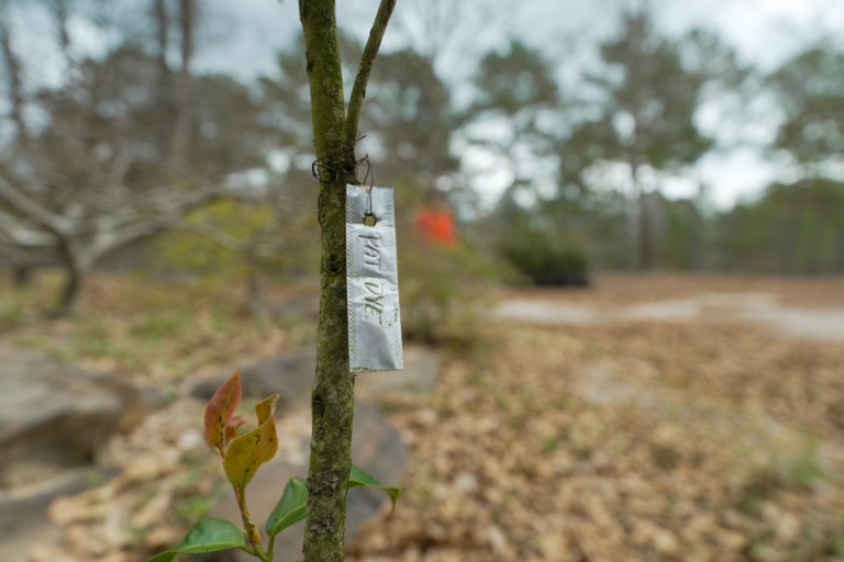 A close up of a metal tag etched with Pat Dye.