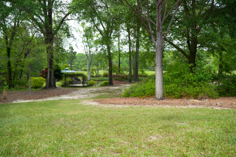 lawn and trees with gazebo in the foreground